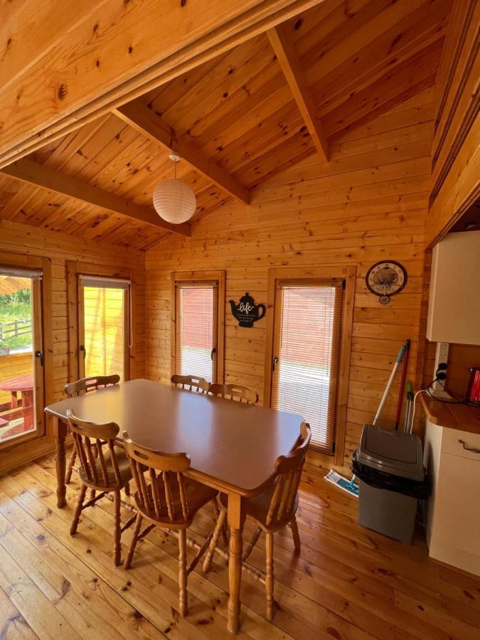 Apartamento Red Robin Nest Galway Exterior foto