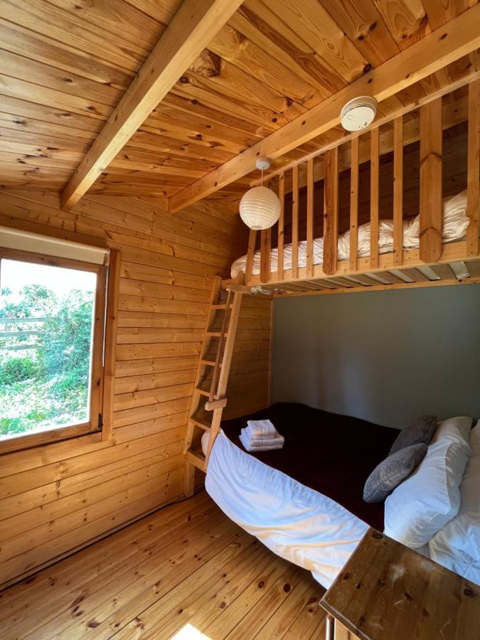Apartamento Red Robin Nest Galway Exterior foto
